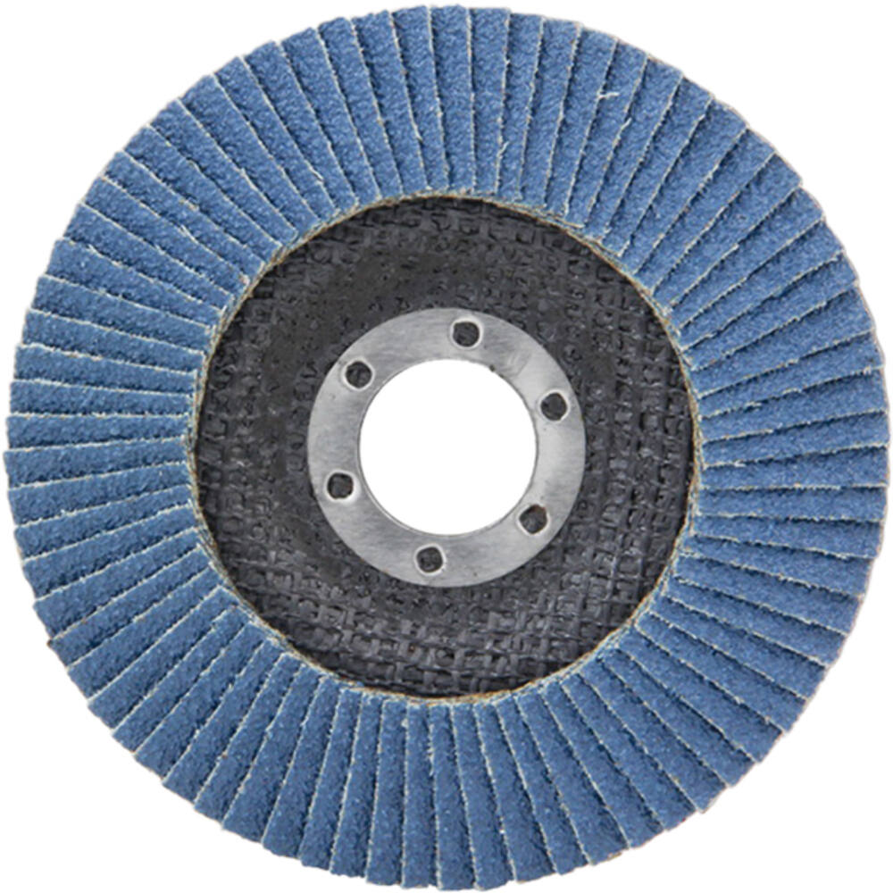 VEBA Lamellenschijf 125 mm 10 st P40