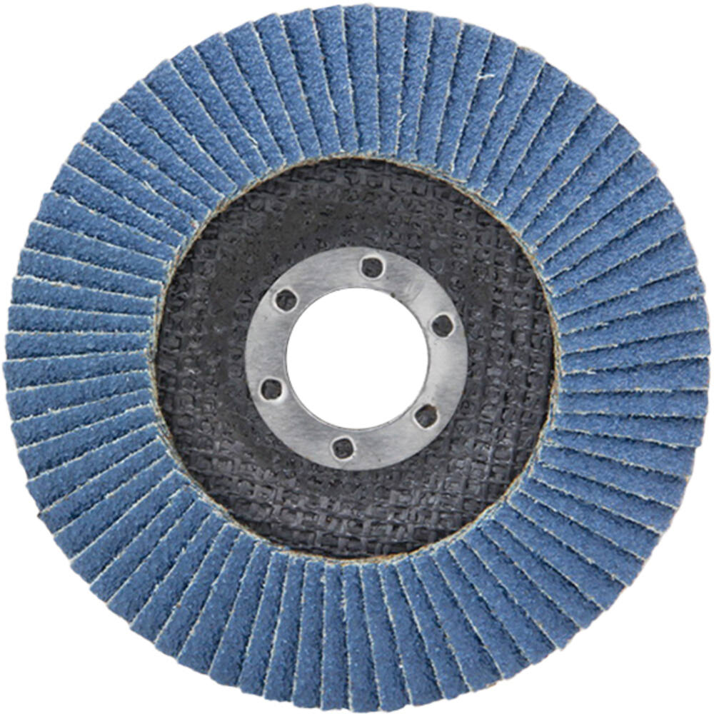 VEBA Lamellenschijf 125 mm 10 st P80