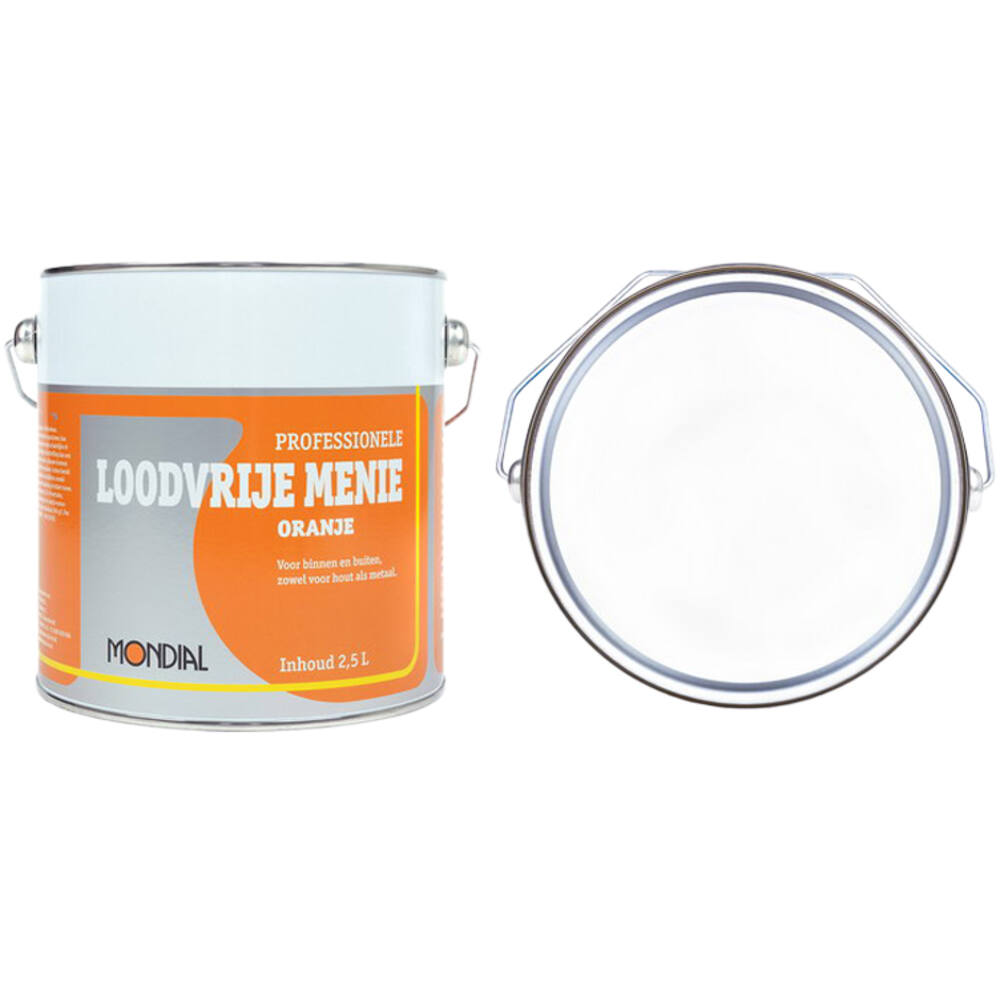 Mondial Loodvrije Menie 2,5 L
