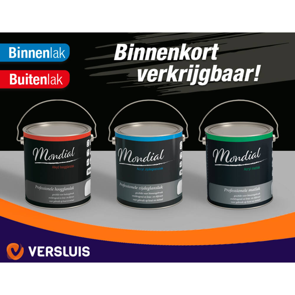 Mondial Snelgrond Wit 2,5 L