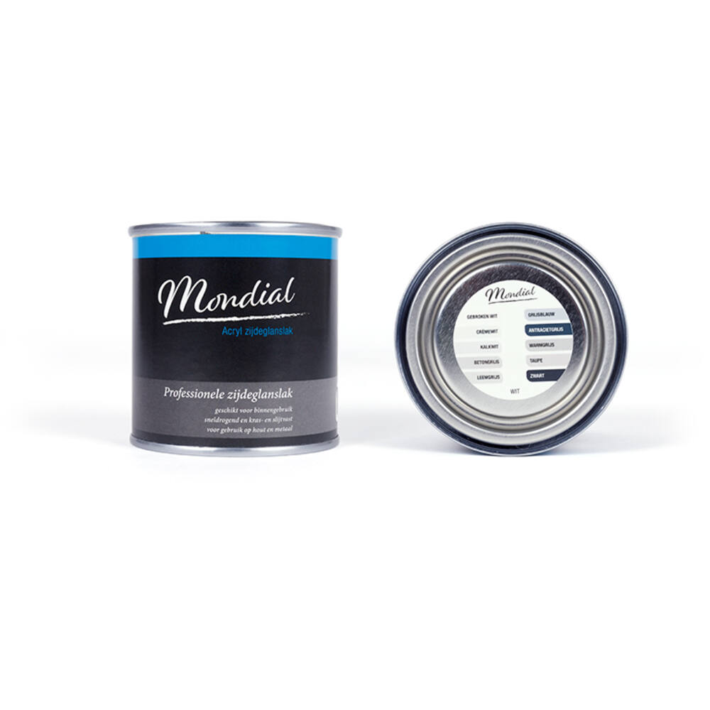 Mondial Zijdeglans RAL9016 Wit 250 ml