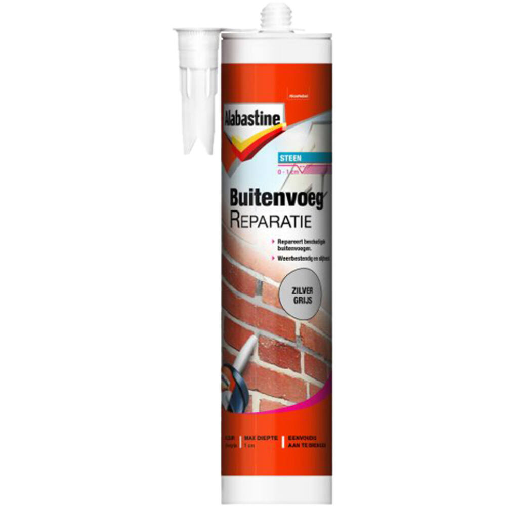 Alabastine Buitenvoegeparatie Zilver Grijs 310 ml