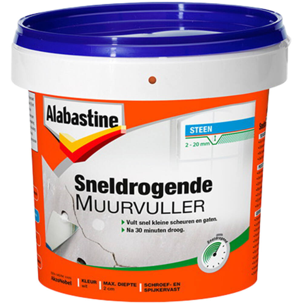 Alabastine Sneldrogende Muurvuller Pot 1 kg