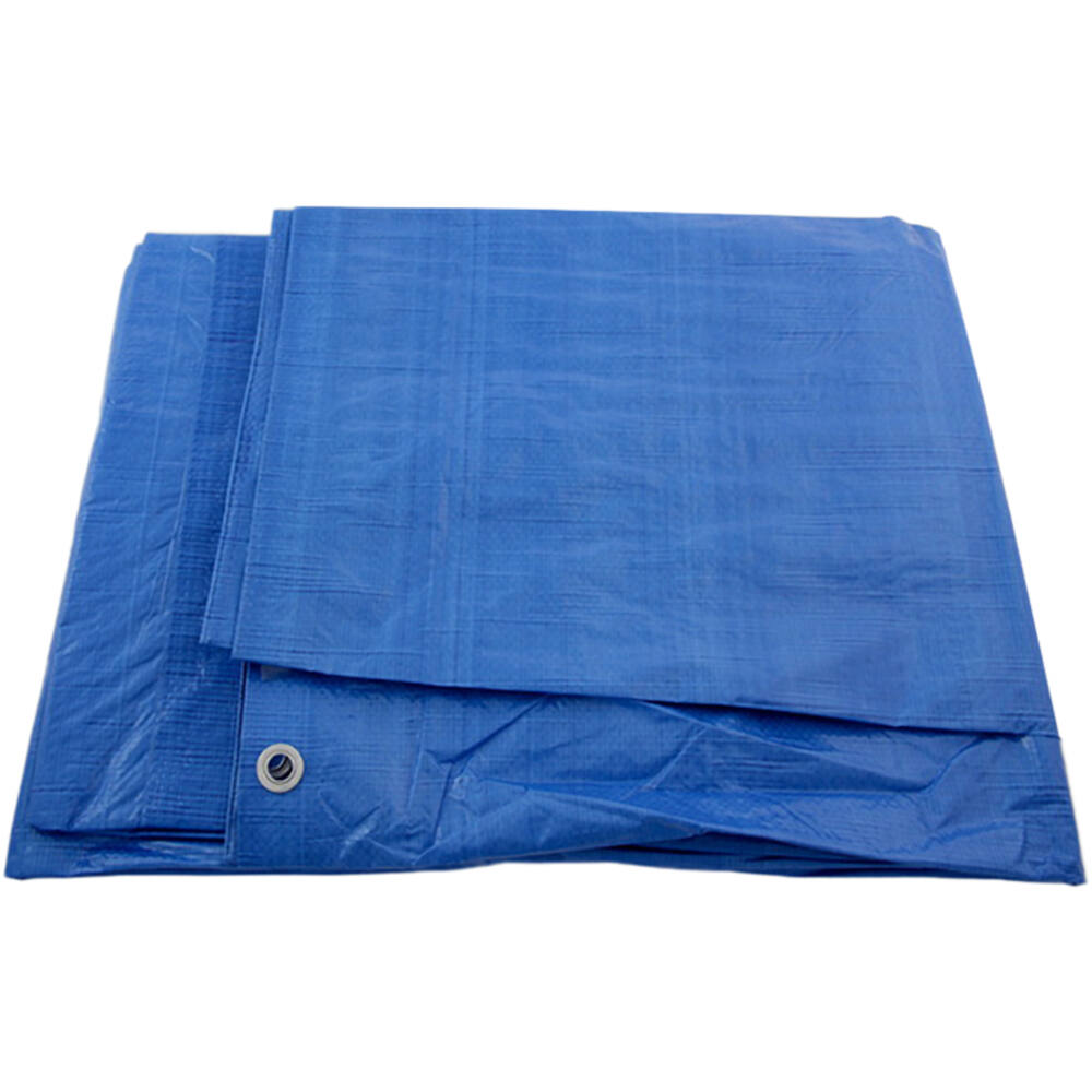 VEBA Afdekzeil Blauw 8x10 m