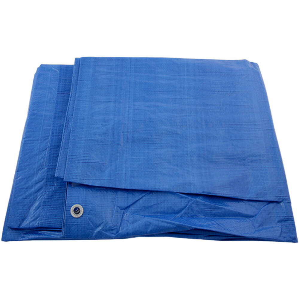 VEBA Afdekzeil Blauw 10x12 m