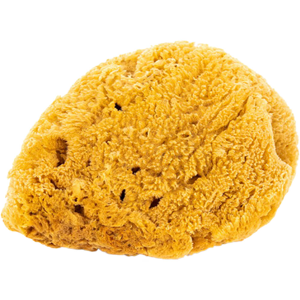 VEBA Natuurspons