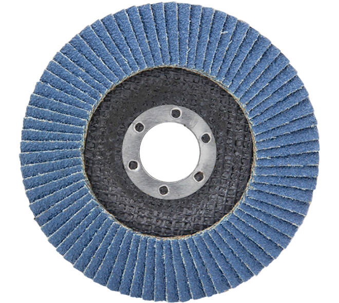 VEBA Lamellenschijf 125 mm 10 st P80