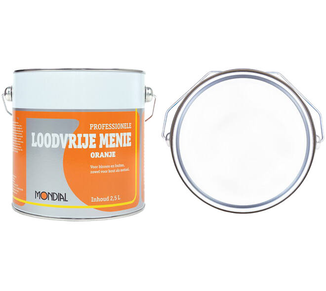 Mondial Loodvrije Menie 2,5 L