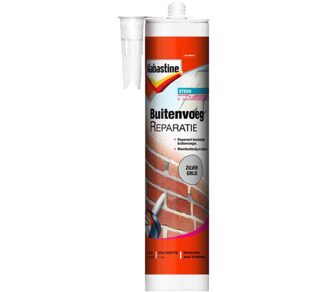 Alabastine Buitenvoegeparatie Zilver Grijs 310 ml