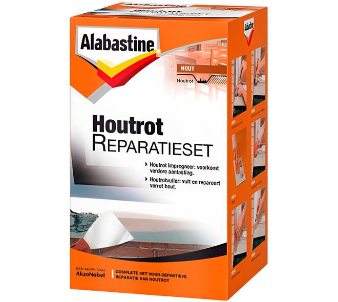 Alabastine Houtrot Reparatieset 2 Componenten 2x250 g