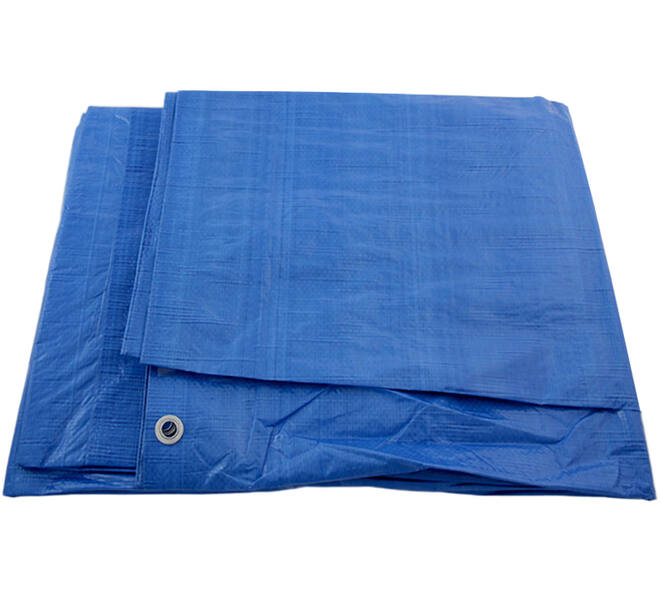 VEBA Afdekzeil Blauw 8x10 m