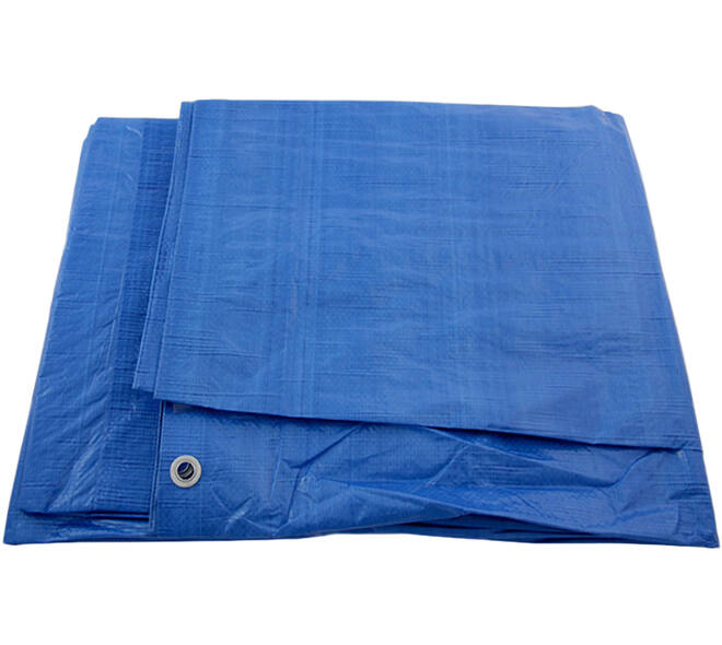 VEBA Afdekzeil Blauw 10x12 m