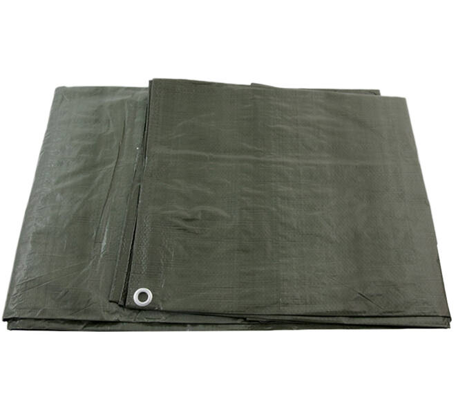 VEBA Afdekzeil Groen 10x12 m