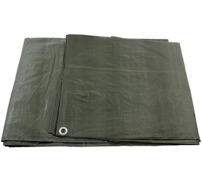 VEBA Afdekzeil Groen 8x10 m