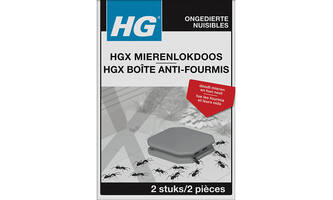HGX Mierenlokdoos Binnen 2 st
