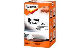 Alabastine Houtrot Reparatieset 2 Componenten 2x250 g