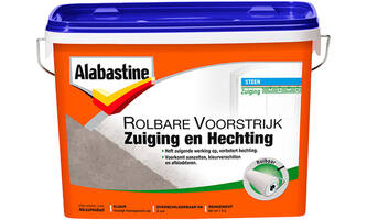 Alabastine Rolbare Voorstrijk Sneldrogend Transparant 5 L