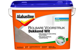 Alabastine Rolbare Voorstrijk Dekkend Wit Sneldrogend 5 L