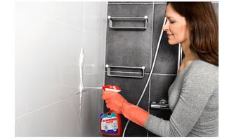 Bison Air Max Schimmelvreter Foam & Spray 500 ml