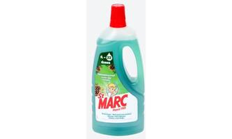 St Marc Express Verfreiniger Dennenwoud 1 L